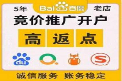 SEM托管服务，成功案例分享转化秘诀